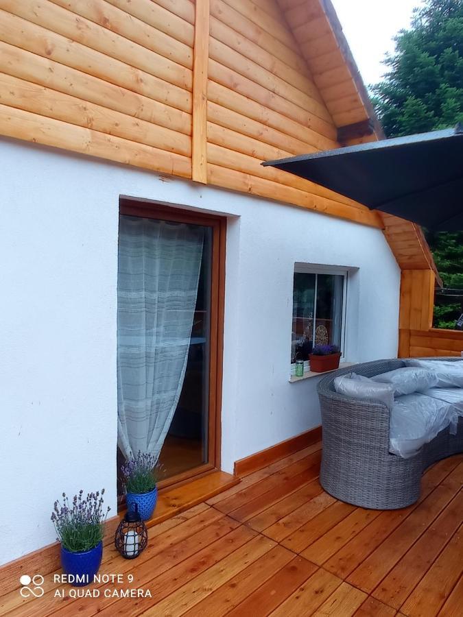 Apartamenty Sowianka Ludwikowice Klodzkie Exterior photo